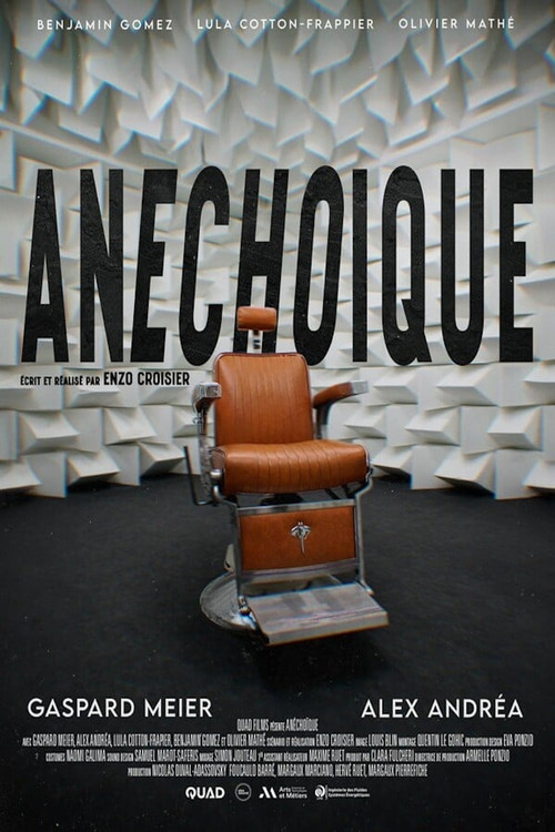 Movie poster for Anechoic (2024)