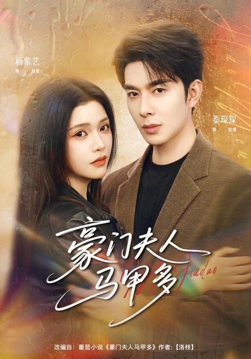 豪门夫人马甲多 poster