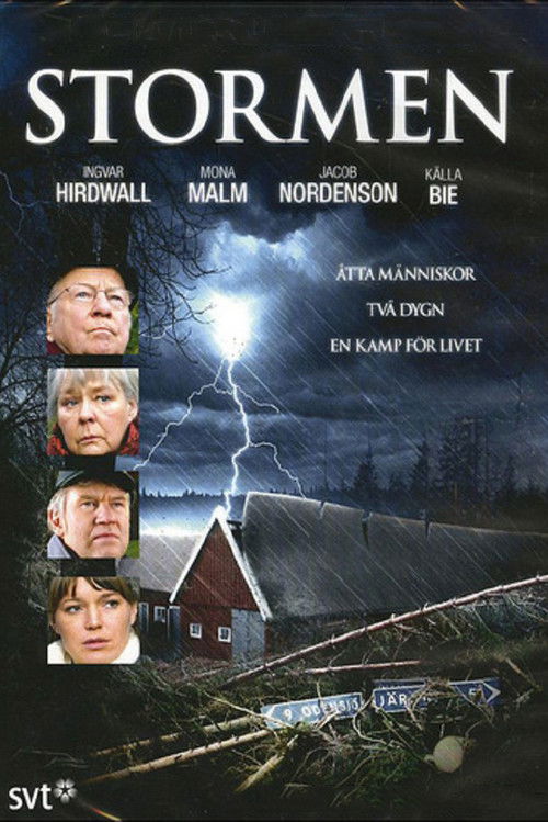 Stormen poster