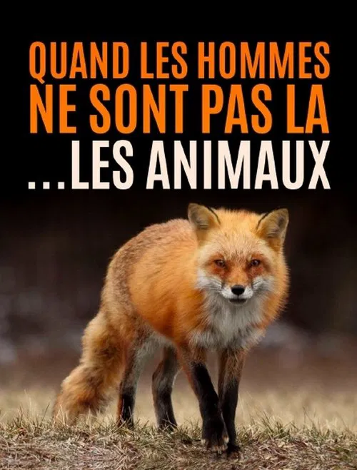 Quand l’homme n’est pas là... les animaux dansent ! poster