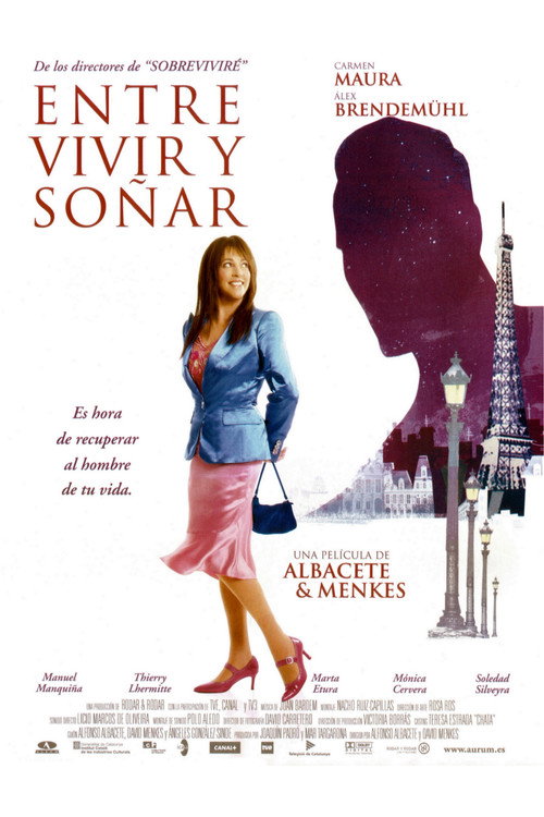 Movie poster for Searching for Love (2004)