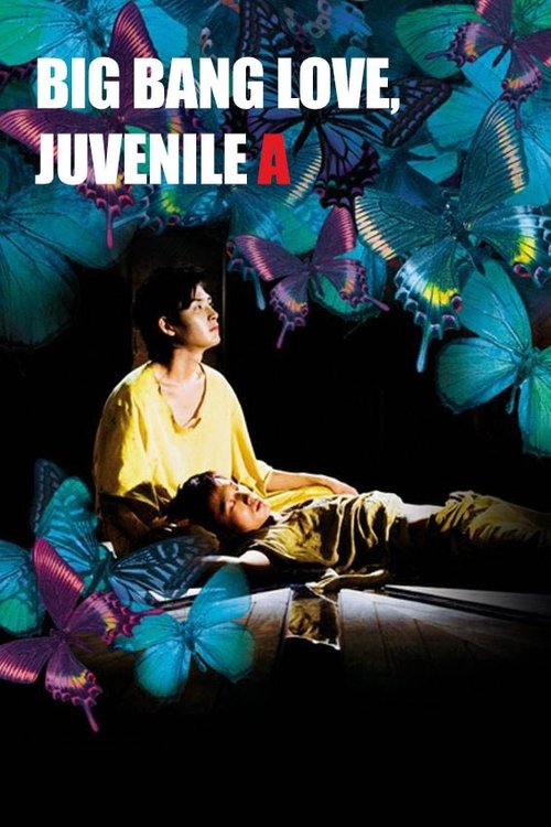 Movie poster for Big Bang Love, Juvenile A (2006)