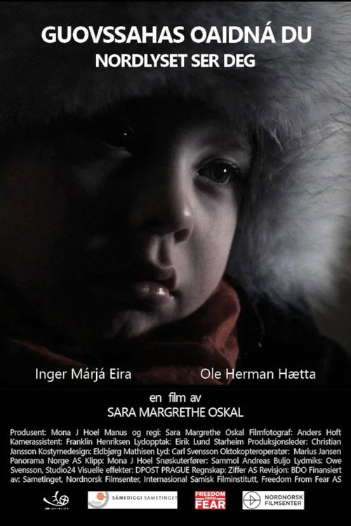 Movie poster for Aurora Keeps an Eye On You (2015)