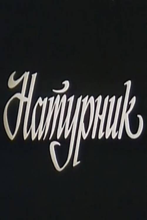 Movie poster for Model (1992)