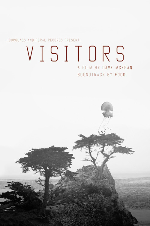 Movie poster for Visitors (2017)