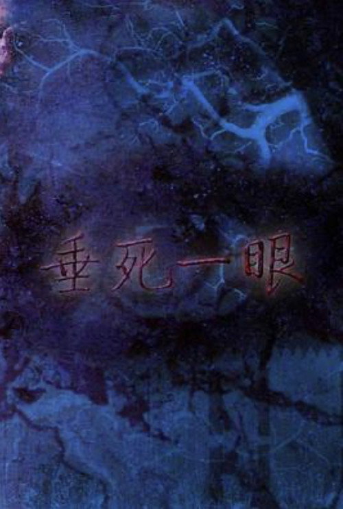 Movie poster for Last Sight from Death! (1999)