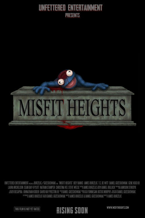 Movie poster for Misfit Heights (2013)