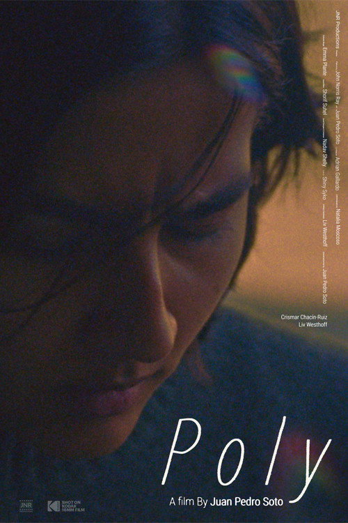 Movie poster for Poly