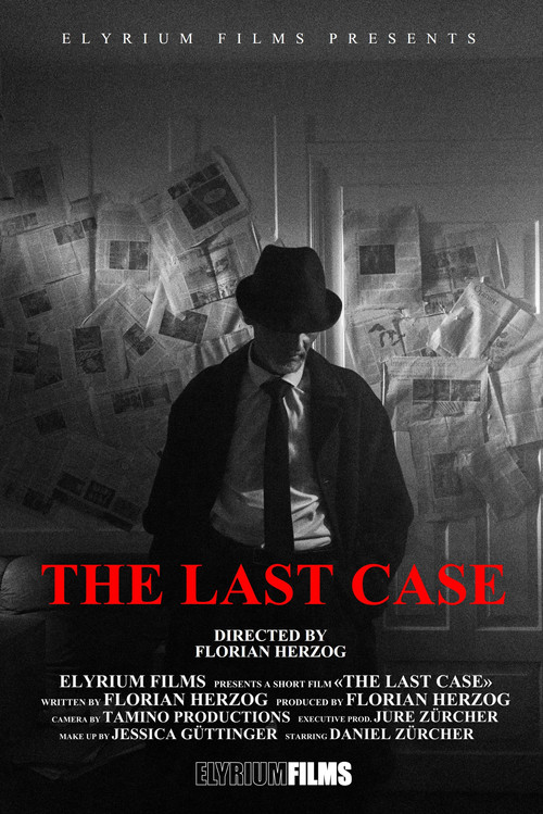 Movie poster for The Last Case (2021)