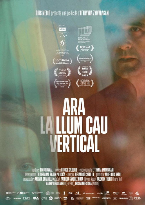 Movie poster for Ahora la luz cae vertical