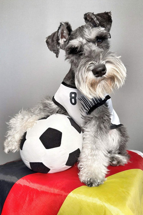 Photo of Montgomery Von Schnauz, Acting