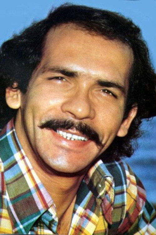 Zanoni Ferrite profile