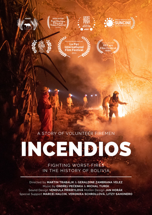 Movie poster for Fires (2021)