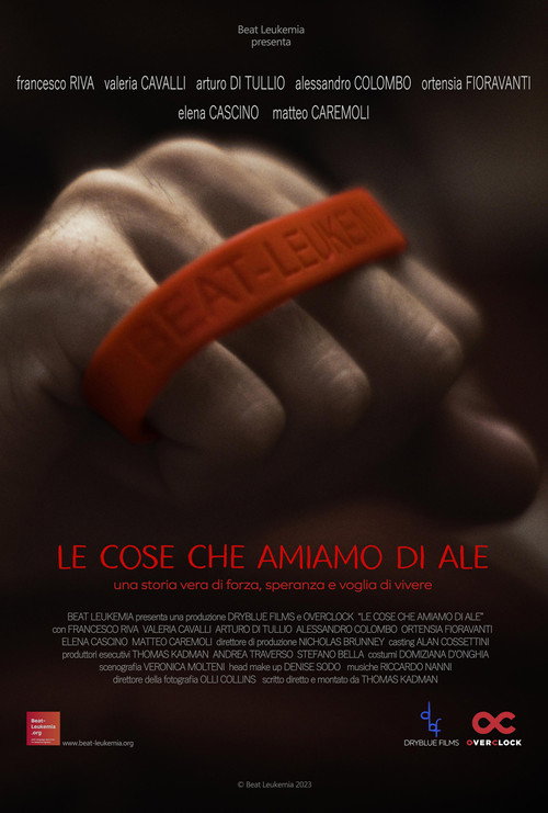 Movie poster for Le cose che amiamo di Ale (2022)