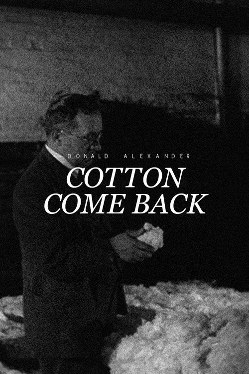 Movie poster for Cotton Come Back (1946)