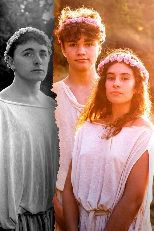 Movie poster for La Promesse des Androgynes (2020)