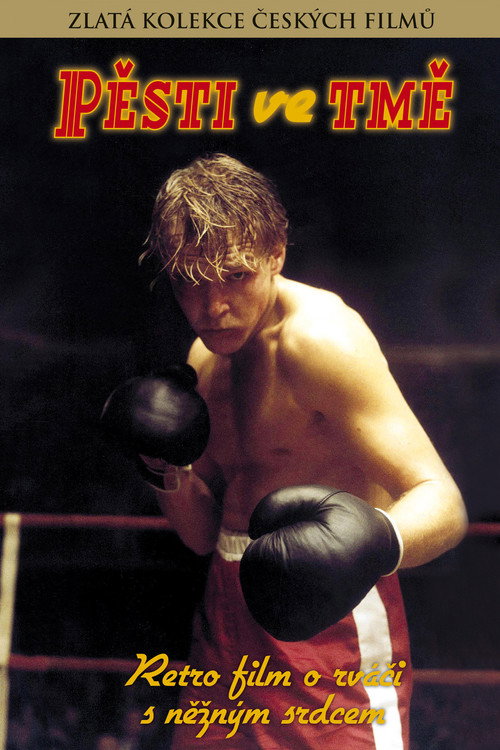 Movie poster for Pěsti ve tmě (1987)