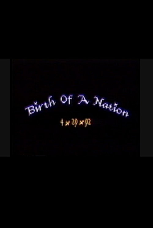 Movie poster for Birth of a Nation: 4.29.92 (1993)