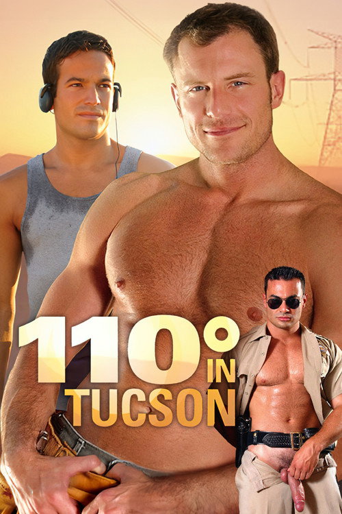 Movie poster for 110° in Tucson (2005)