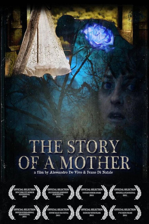Movie poster for The Story of a Mother (2010)