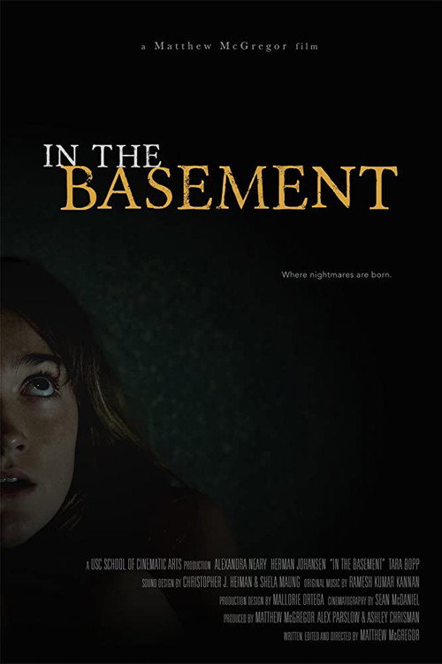 Movie poster for In the Basement (2015)