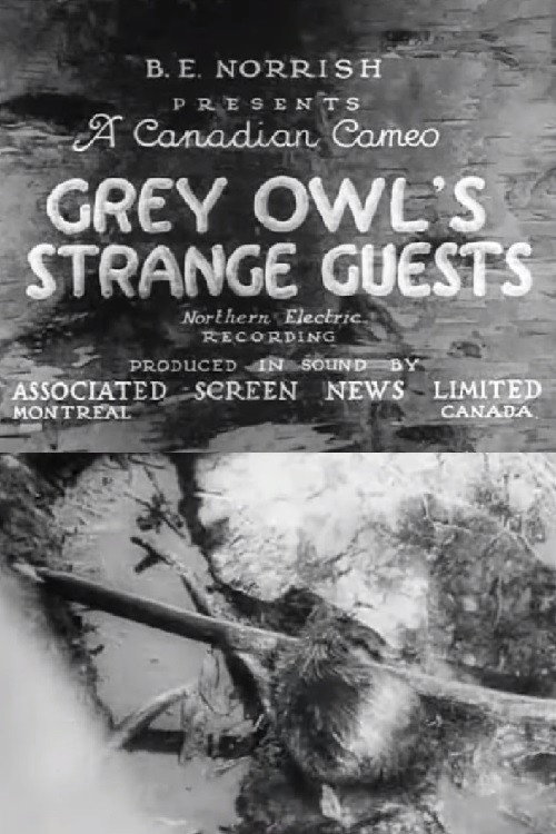 Movie poster for Grey Owl's Strange Guests (1934)