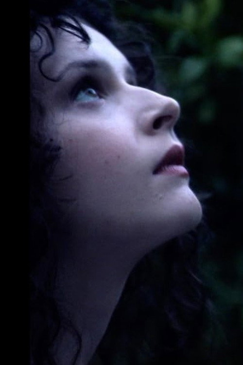 Movie poster for The Orchard (2014)