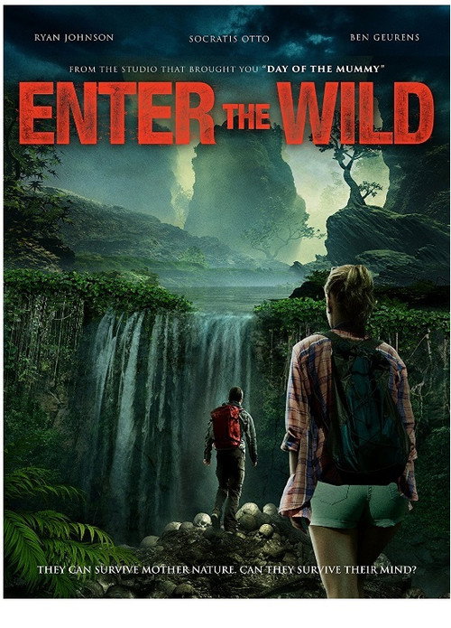 Movie poster for Enter the Wild (2018)