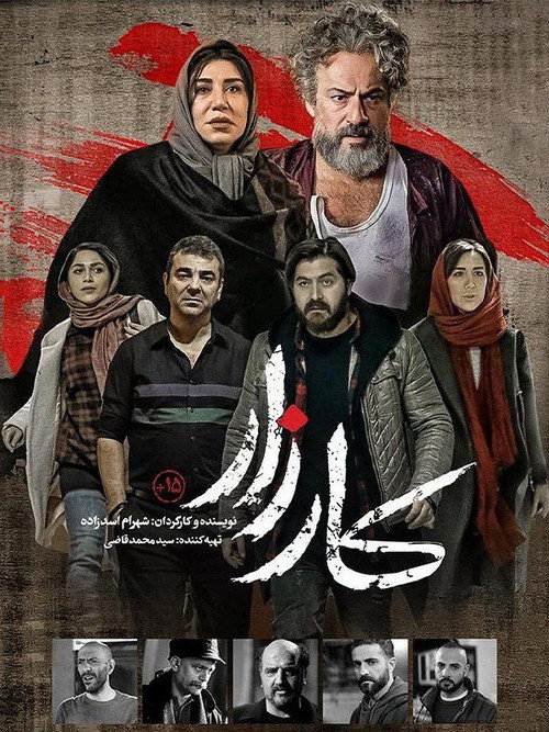 Movie poster for Campaign (2025)