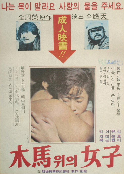Movie poster for The Woman On The Ferris Wheel (1979)