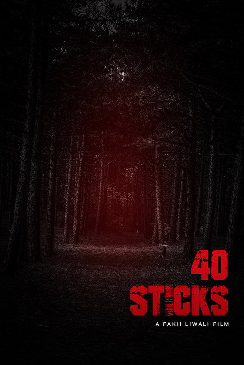 Movie poster for 40 Sticks (2020)
