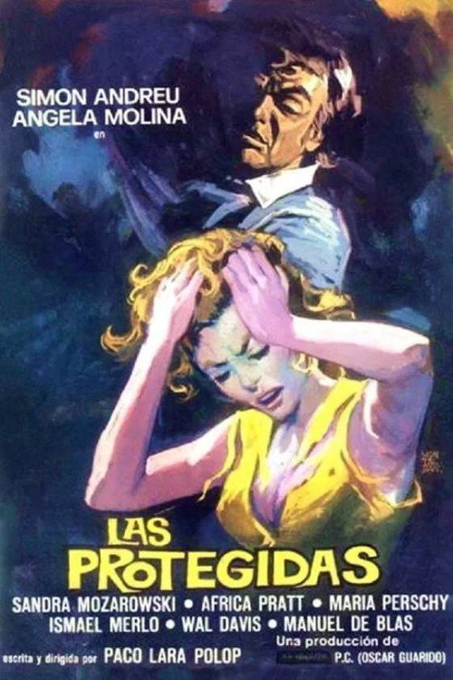 Movie poster for The Protected (1975)