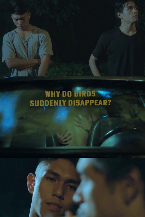 Movie poster for Why Do Birds Suddenly Disappear? (2019)