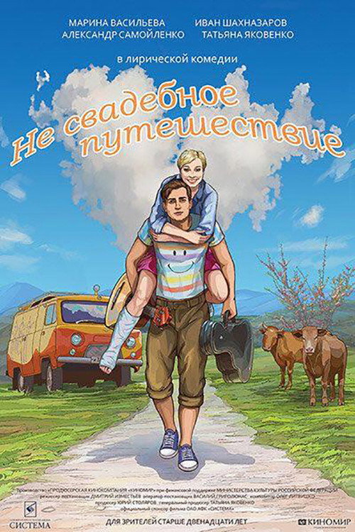 Movie poster for Not a Wedding Journey (2016)