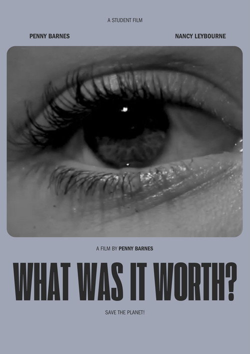 Movie poster for WHAT WAS IT WORTH? (2024)