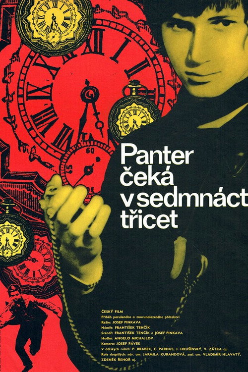 Movie poster for Panter čeká v 17,30 (1972)