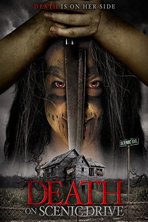 Movie poster for Death on Scenic Drive (2017)