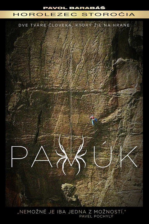 Movie poster for Pavúk (2018)