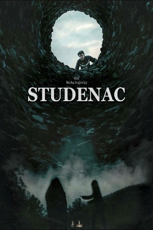 Movie poster for The Well (2020)