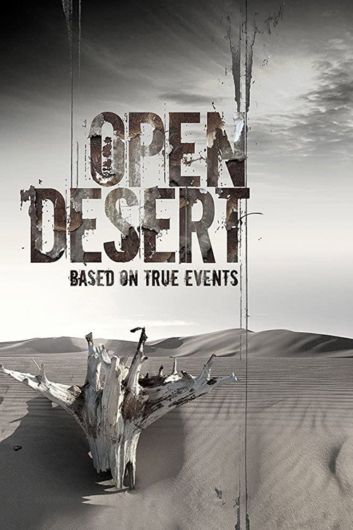 Movie poster for Open Desert (2013)
