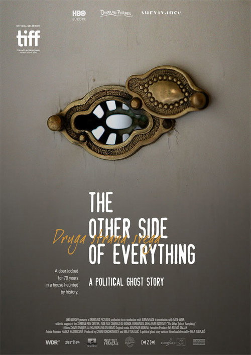Movie poster for The Other Side of Everything (2017)