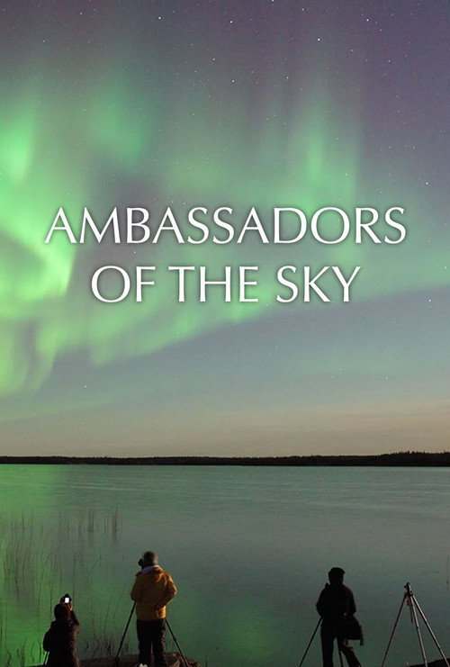 Movie poster for Ambassadors of the Sky (2016)