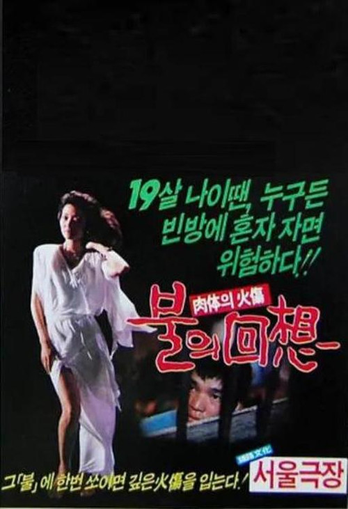 Movie poster for Reminiscent Flame (1985)