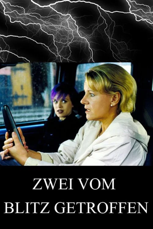 Movie poster for Zwei vom Blitz getroffen (2000)