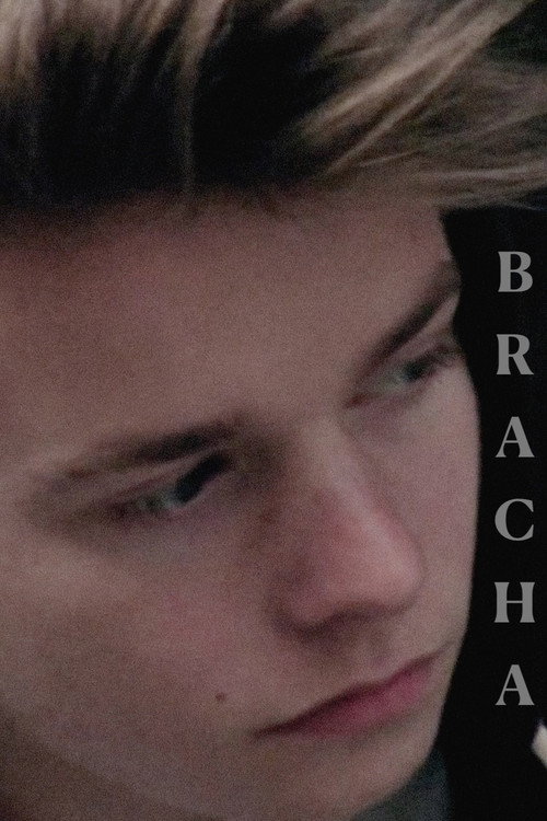 Movie poster for Brother (2015)