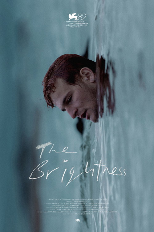 Movie poster for The Brightness