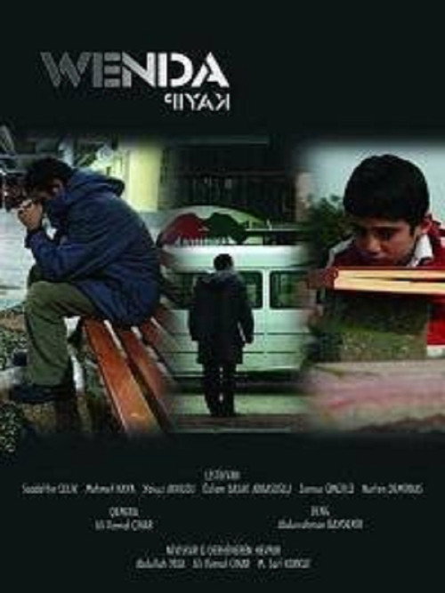 Movie poster for The Missing (2010)