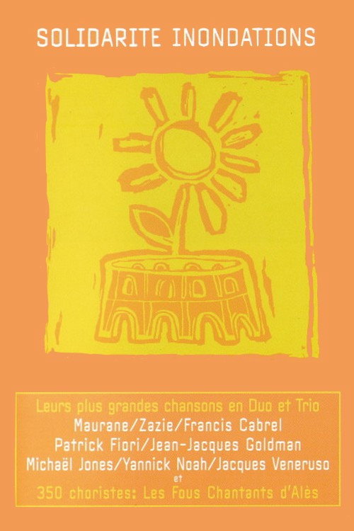 Movie poster for Solidarité inondations (2003)