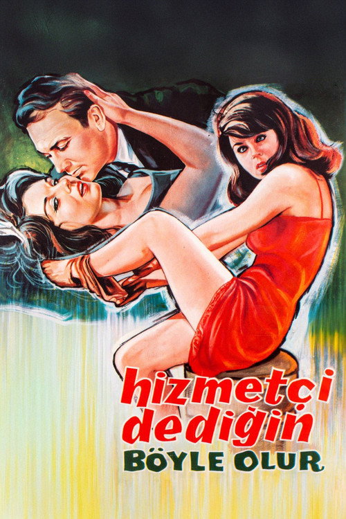 Movie poster for Hizmetçi Dediğin Böyle Olur (1964)