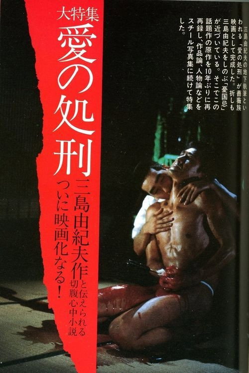 Movie poster for The Execution of Love (1983)